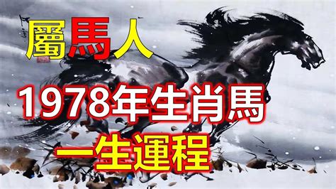 1978 馬 五行|【1978 馬 五行】1978年出生的屬馬人五行屬馬還是五行屬火？告。